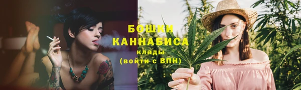 гидропоника Ельня